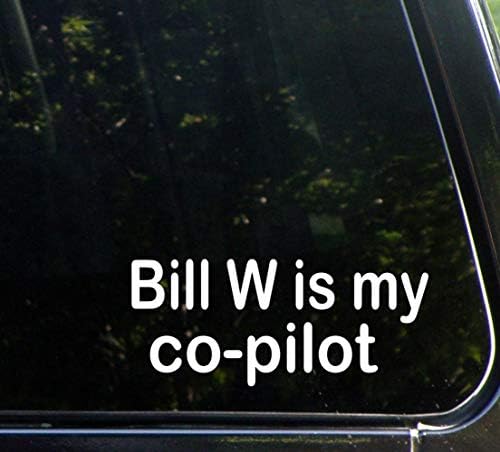 Bill W A Co-Pilot 9 Cm