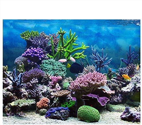 Zerodis PVC Ragasztó Akvárium, akvárium Háttér Poszter,Táj, Tapéta Festés Matrica Víz alatti Korall Decor(61 * 41cm)