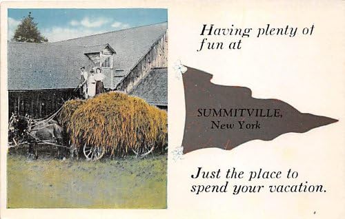 Summitville, New York-I Képeslap